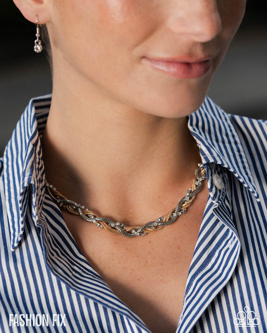 Paparazzi Distinguished Dominance - Multi Necklace