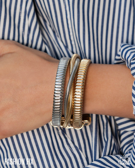 Paparazzi Resolute Recognition - Multi Bracelet