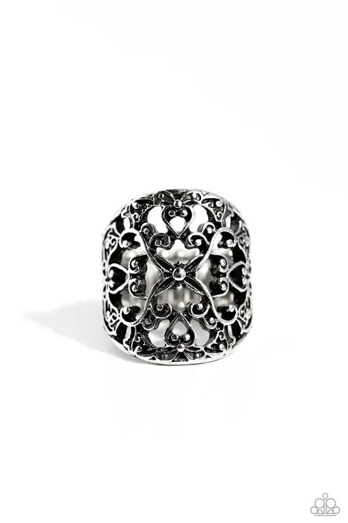 Paparazzi Transfixed Treasure - Silver Ring